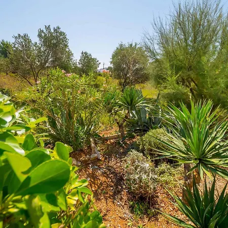 Appartamento Barbat 1 Barbat na Rabu