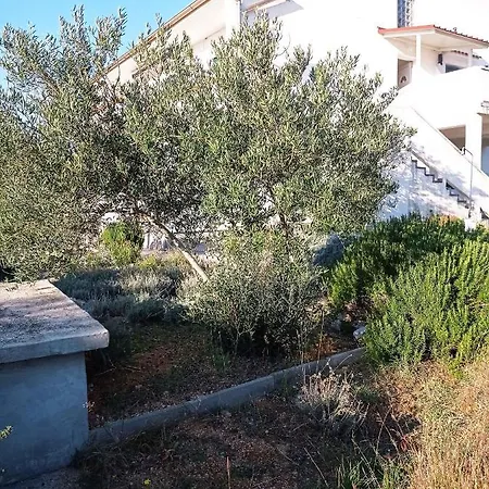 Barbat 1 Barbat na Rabu