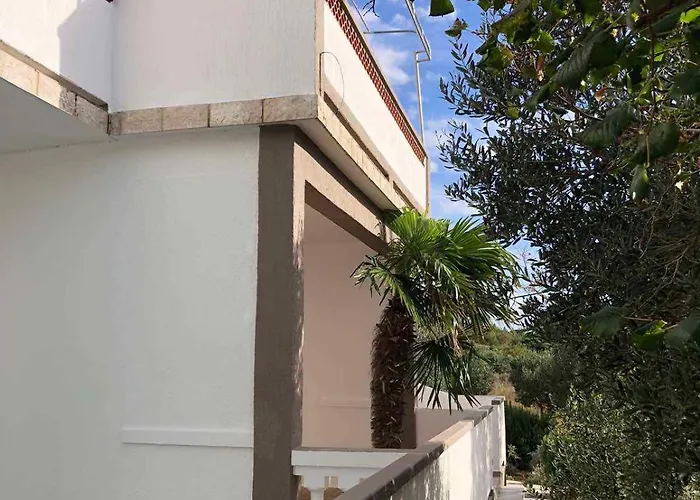 Barbat 1 Apartament